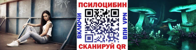 Псилоцибиновые грибы Psilocybine cubensis  Южа 